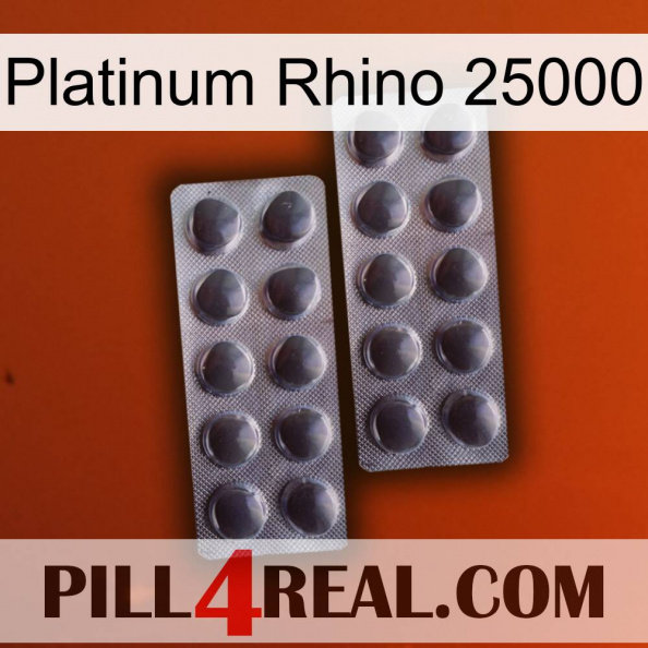 Platinum Rhino 25000 31.jpg